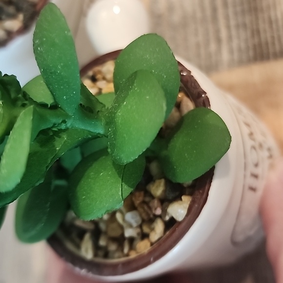 Artificial potted plants, set of 2 - Picture 5 of 8